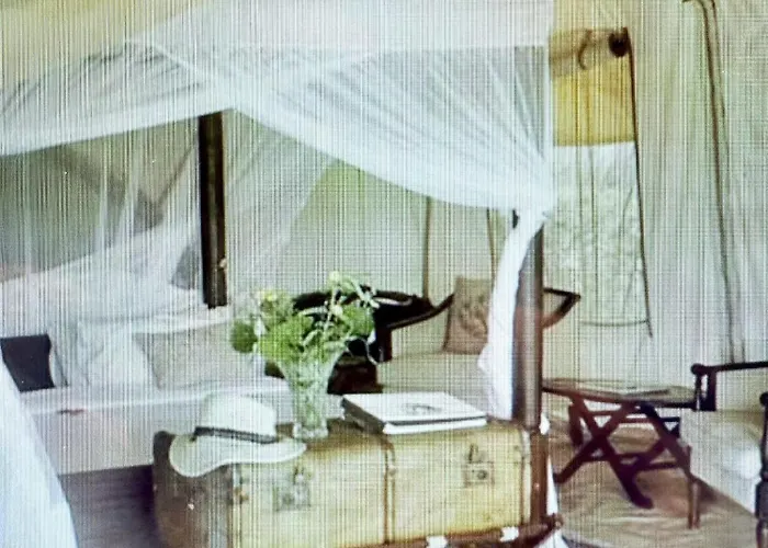 Glamping Eco Moncarapacho